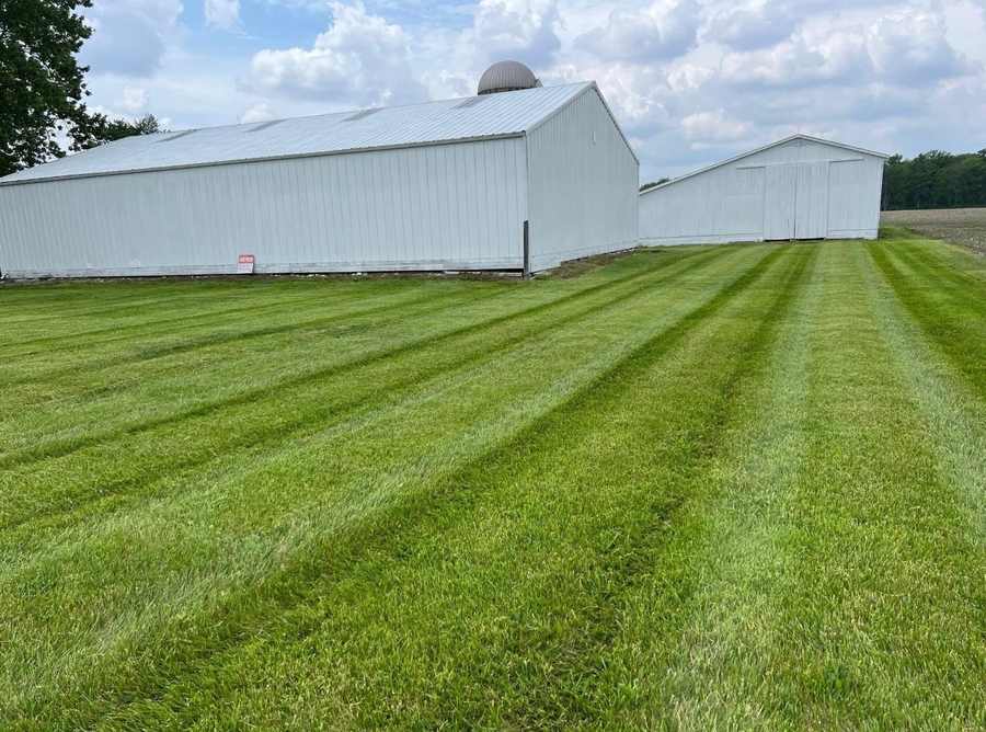 Freshly striped lawn beside two white farm buildings